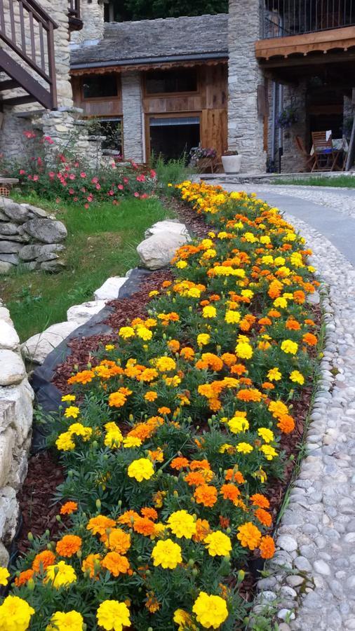 Il Sogno Della Vita Agriresort - Country Rooms & Suites Peveragno Bagian luar foto